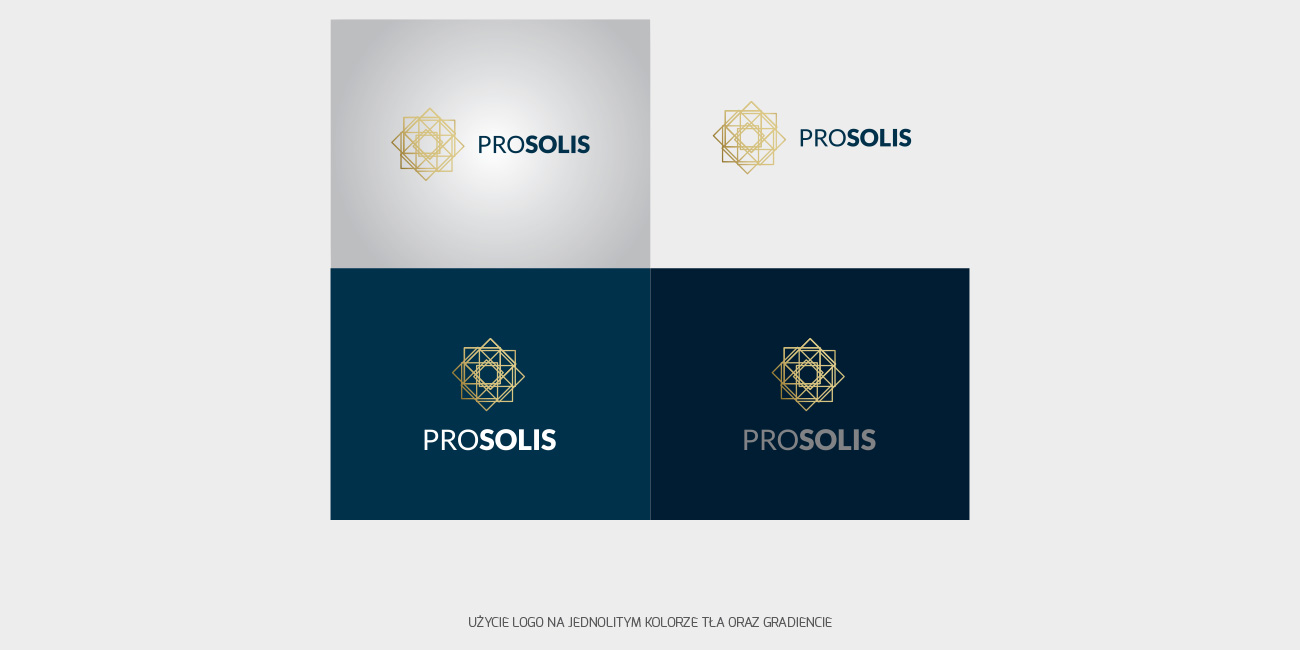 Prosolis_portfolio_1300x650-3