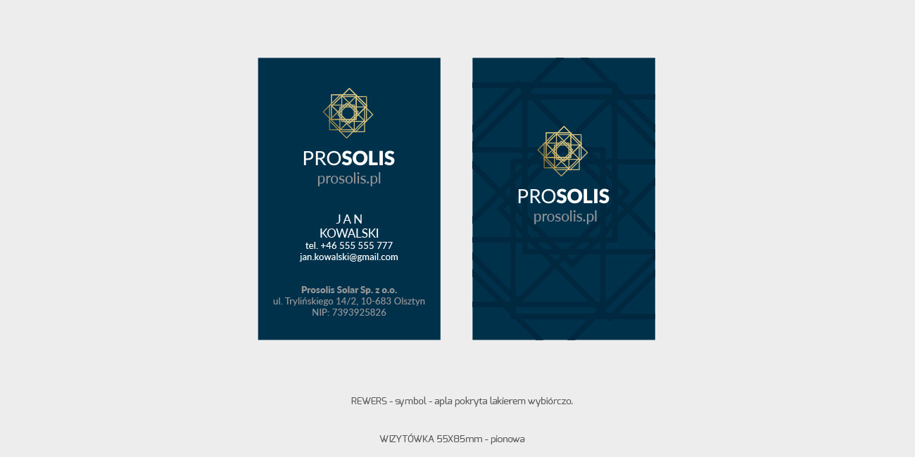 Prosolis_portfolio_1300x650-5